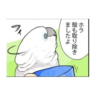 漫画「いたずらオウムの生活雑記」 第159回 もう、いらない!