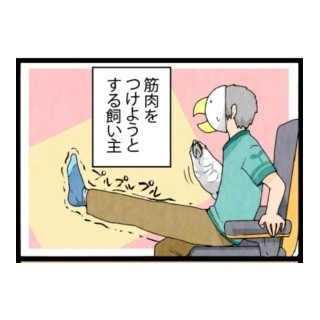 漫画「いたずらオウムの生活雑記」 第247回 オウムと筋トレ