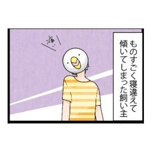 漫画「いたずらオウムの生活雑記」 第297回 飼い主です