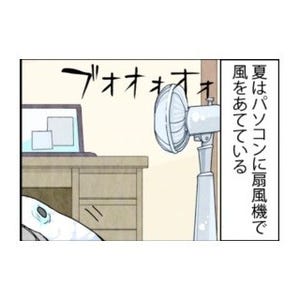 漫画「いたずらオウムの生活雑記」 第320回 扇風機の風をパソコンに当てる