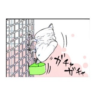 漫画「いたずらオウムの生活雑記」 第437回 叫びたくなるほどの悲劇