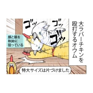 漫画「いたずらオウムの生活雑記」 第440回 アイツなら倒せるという虚勢