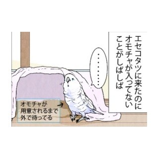 漫画「いたずらオウムの生活雑記」 第442回 知らないところで成長している