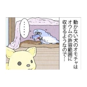 漫画「いたずらオウムの生活雑記」 第444回 犬のオモチャ! スイッチオン!