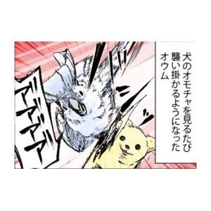 漫画「いたずらオウムの生活雑記」 第448回 犬のオモチャ! ギリリ……!