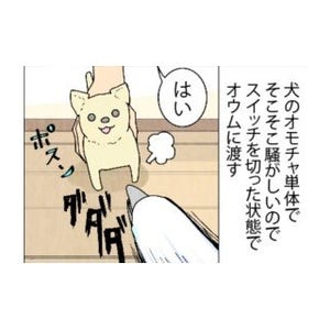 漫画「いたずらオウムの生活雑記」 第449回 犬のオモチャ! 暴れる!