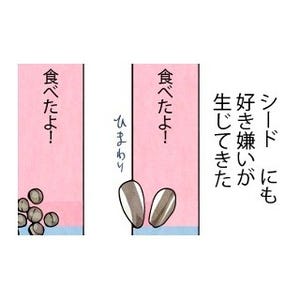 漫画「いたずらオウムの生活雑記」 第464回 倍プッシュだ!!