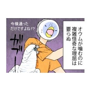 漫画「いたずらオウムの生活雑記」 第503回 そこに理屈はない