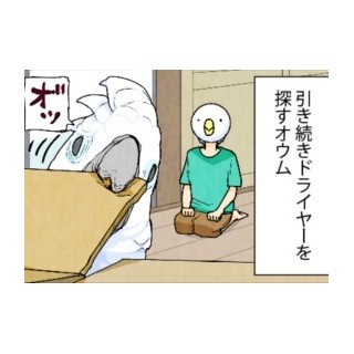 漫画「いたずらオウムの生活雑記」 第539回 あっさりバレる