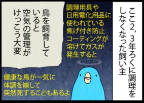 オウムを飼ったことで変化したキッチン