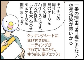 オウムを飼ったことで変化したキッチン