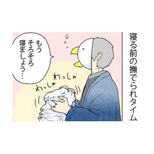 漫画「いたずらオウムの生活雑記」 第601回 突然の騒音