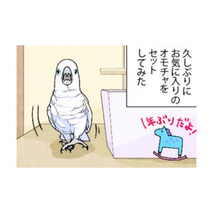 漫画「いたずらオウムの生活雑記」 第622回 1年ぶりの再会