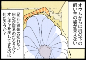 いたずらオウムの生活雑記