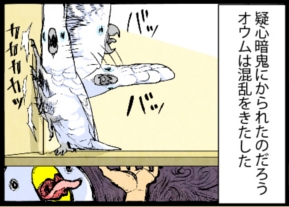 いたずらオウムの生活雑記