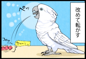 いたずらオウムの生活雑記　漫画