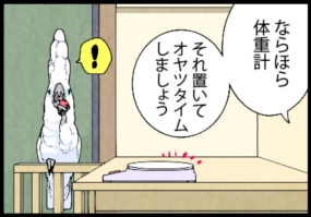 いたずらオウムの生活雑記　漫画