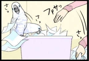 いたずらオウムの生活雑記　漫画