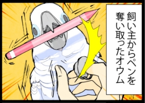 いたずらオウムの生活雑記　漫画