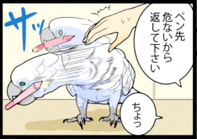 いたずらオウムの生活雑記　漫画