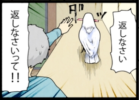 いたずらオウムの生活雑記　漫画