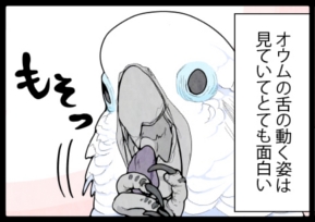 いたずらオウムの生活雑記　漫画