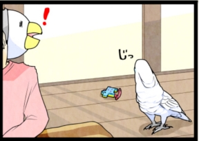 いたずらオウムの生活雑記　漫画