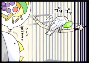 いたずらオウムの生活雑記　漫画