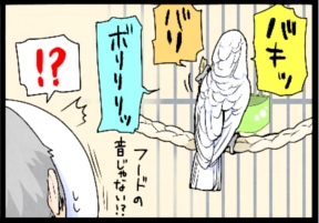 いたずらオウムの生活雑記　漫画