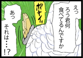 いたずらオウムの生活雑記　漫画