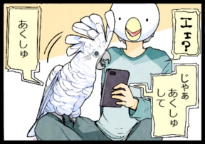 いたずらオウムの生活雑記　漫画