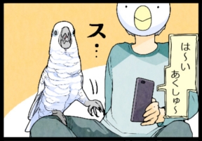 いたずらオウムの生活雑記　漫画
