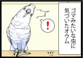 いたずらオウムの生活雑記　漫画