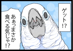 いたずらオウムの生活雑記　漫画