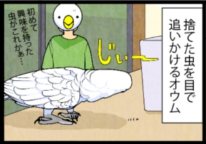 いたずらオウムの生活雑記　漫画