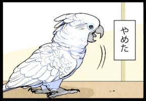 いたずらオウムの生活雑記　漫画