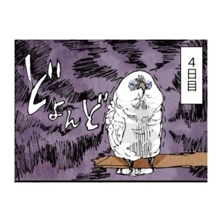 漫画「いたずらオウムの生活雑記」 第67回 ペットホテルに預けて数日……