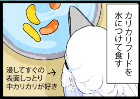 いたずらオウムの生活雑記　漫画