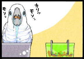 いたずらオウムの生活雑記　漫画