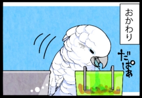 いたずらオウムの生活雑記　漫画