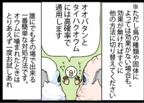いたずらオウムの生活雑記　漫画