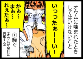 いたずらオウムの生活雑記　漫画