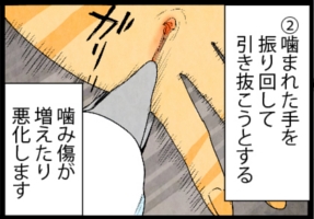 いたずらオウムの生活雑記　漫画