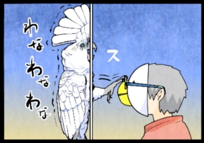 いたずらオウムの生活雑記　漫画