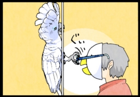 いたずらオウムの生活雑記　漫画