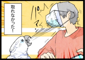 いたずらオウムの生活雑記　漫画