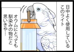 いたずらオウムの生活雑記　漫画