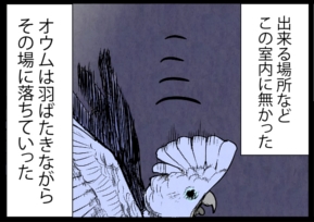 いたずらオウムの生活雑記　漫画