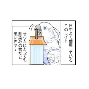 漫画「いたずらオウムの生活雑記」 第692回 暗闇では別物