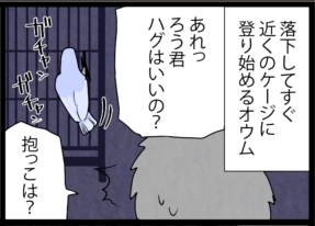 いたずらオウムの生活雑記　漫画